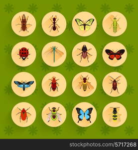 Insects round button flat icons set with fly dragonfly bee isolated vector illustration