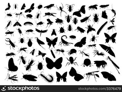 Insects silhouettes isolated on white