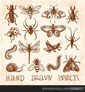 Insects sketch decorative icons set with dragonfly fly butterfly isolated vector illustration