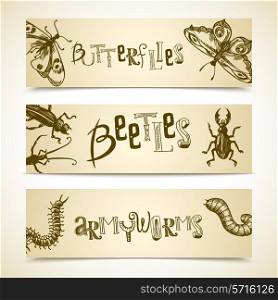 Insects sketch horizontal banner set with butterflies beetles armyworms isolated vector illustration
