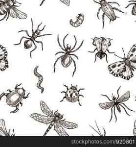 Insects that fly and creep monochrome sepia sketches seamless pattern. Big dragonfly, beautiful butterfly, tiny ant, scary spider, short worm, cute bee and round ladybug isolated cartoon flat vector illustrations set.. Insects that fly and creep monochrome sepia sketches seamless pattern.