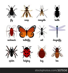 Insects vector over white background. Insect icons with captions. Insects icons