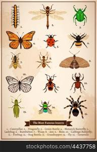 Insects Vintage Book Page. Vintage book page poster with set of different most famous insects drawn in doodle style vector illustration
