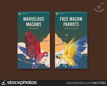 Instagram template with macaw parrot bird concept,watercolor style 