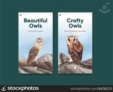 Instagram template with owl bird concept,watercolor style 
