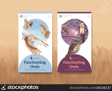 Instagram template with owl bird concept,watercolor style 
