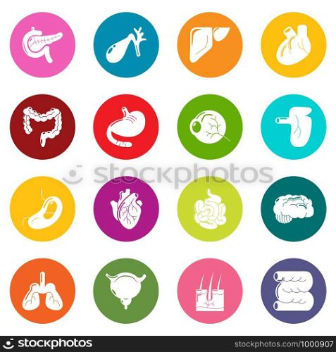 Internal human organs icons set vector colorful circles isolated on white background . Internal human organs icons set colorful circles vector