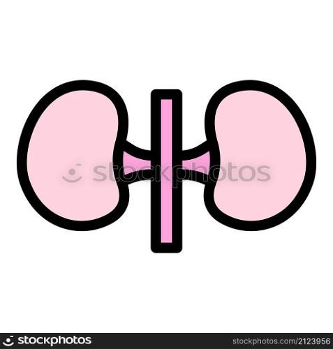 Internal kidney icon. Outline internal kidney vector icon color flat isolated. Internal kidney icon color outline vector