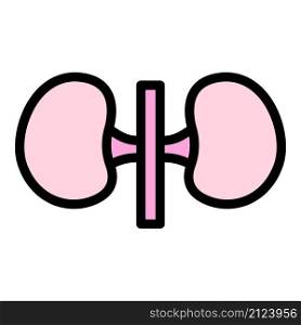 Internal kidney icon. Outline internal kidney vector icon color flat isolated. Internal kidney icon color outline vector