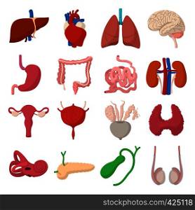 Internal organs cartoon icons set isolated on white background. Internal organs cartoon icons