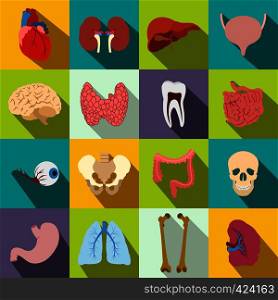 Internal organs flat icons set for web and mobile devices. Internal organs flat icons