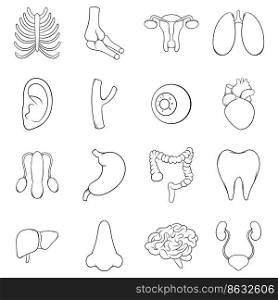 Internal organs icon set in outline style isolated on white background. Internal organs icon set vector outline