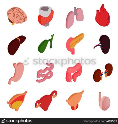 Internal organs isometric 3d icons isolated on white background. Internal organs isometric 3d icons