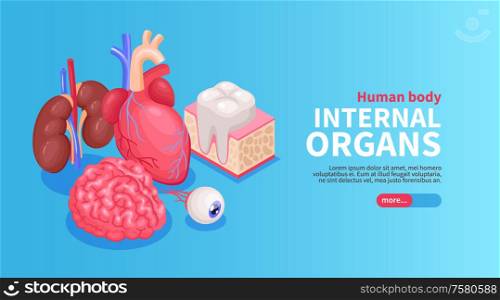 Internal organs poster with heart and eye and kidneys isometric vector illustration