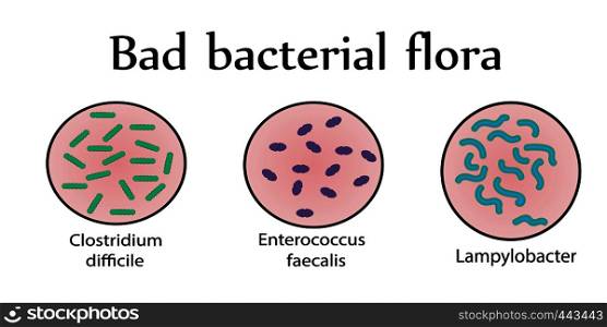 Intestinal bacterial flora. Bad bacteria. Vector illustration
