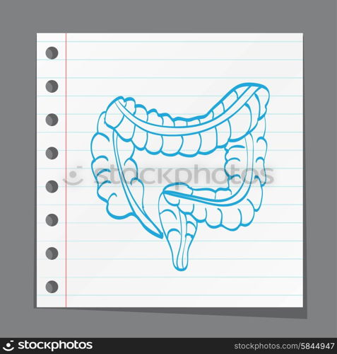 intestine on paper