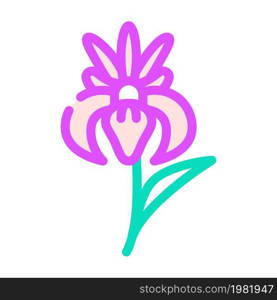 iris flower color icon vector. iris flower sign. isolated symbol illustration. iris flower color icon vector illustration