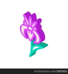 iris flower isometric icon vector. iris flower sign. isolated symbol illustration. iris flower isometric icon vector illustration
