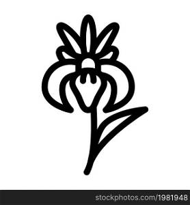 iris flower line icon vector. iris flower sign. isolated contour symbol black illustration. iris flower line icon vector illustration