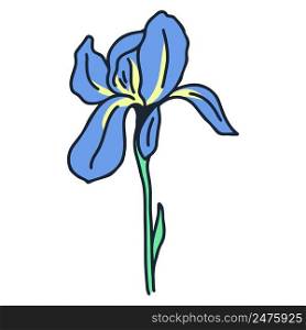 Iris single beautiful rustic flower vector illustration. Colorful blue sky blossom isolated. Botanical natural decoration elegant flower