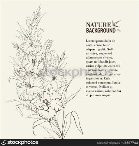 Irises flowers with text place. Vector illustration.