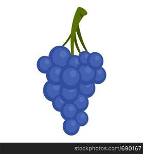 Isabella grapes icon. Cartoon illustration of isabella grapes vector icon for web. Isabella grapes icon, cartoon style