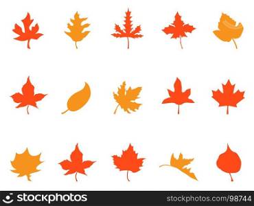 isolaetd color autumn leaves patterns icons from white background