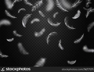 Isolated and realistic falling feather background white feathers fly on transparent background vector illustration