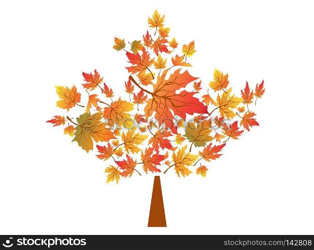 isolated autumn maple leaves symbol from white background