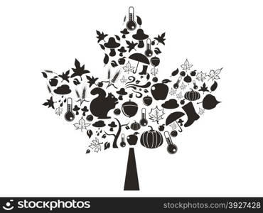 isolated autumn symbol in maple leaf from white background