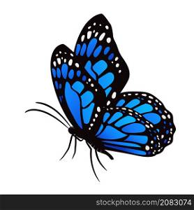 Isolated beautiful colorful butterfly vector illustration