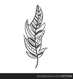 Isolated bird feather decorated with patterns, hand drawing. A beautiful single feather. Decoration, vector illustration.. Isolated bird feather decorated with patterns, hand drawing.