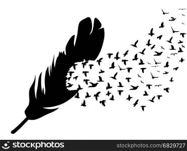 isolated black bird flying from feather on white background