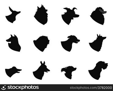 isolated black dog head icons from white background