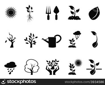 isolated black tree sprout growing icons set on white background