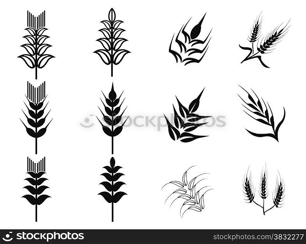 isolated black wheat icons set from white background