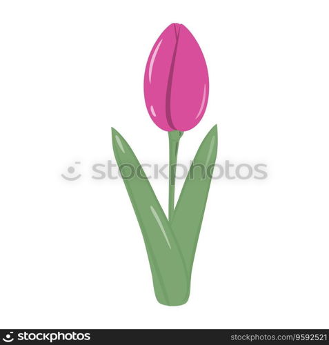 Isolated blooming bright pink tulip flower for bouquet in trendy soft shades. Springime. Sticker. Icon. EPS. Vector design for poster, banner, brochure, greetings or cards, price tag, label or web