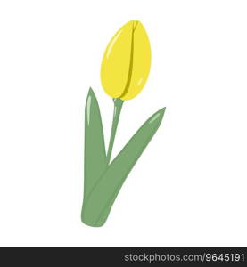 Isolated blooming yellow tulip flower for bouquet in trendy soft shades. Springime. Sticker. Icon. Vector illustration for poster, banner, brochure, greetings or invitation cards, price , label or web