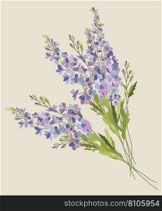 Isolated branch of delphinium Royalty Free Vector Image