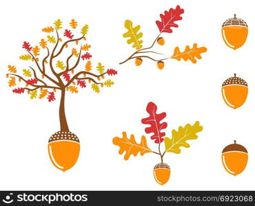 isolated color oak acorn icons set from white background