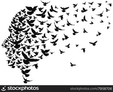 isolated doves flying away with human head from white background