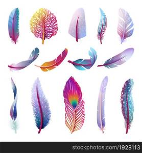Isolated feather collection. Colorful fantasy feathers, peacock bird tail element. Isolated festive decorative plumage swanky vector collection. Illustration of feather colorful for decorative. Isolated feather collection. Colorful fantasy feathers, peacock bird tail element. Isolated festive decorative plumage swanky vector collection