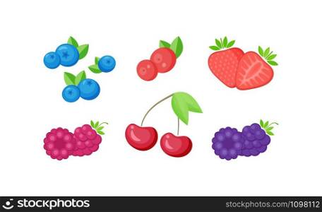 Isolated fresh berries with slices collection vector illustration. Set of natural berries on white background with delicious slices for beverage season offer or cafe menu promotion. Isolated fresh berries with slices collection