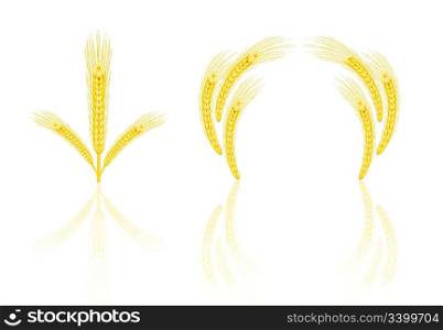Isolated golden wheat ear after the harvest. EPS v. 8.0