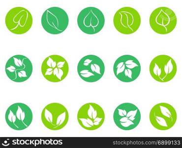 isolated green leaf round button icons set on white background