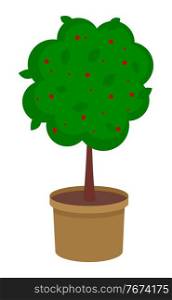Isolated green tree growing in pot with soil. Tree with red flowers isolated at white background. Growing decorative tree with soil raster. Decoration for garden, home. Icon for website, mobile app. Isolated green tree growing in pot with soil, tree with flowers, decorative tree with soil raster