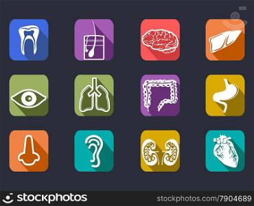 isolated human internal organs long shadow icons set on black background