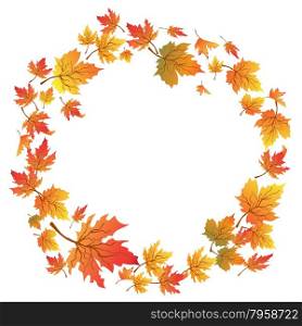 isolated Maple leaves circle with copy space on white background