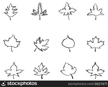 isolated maple outline stylized leaves from white backgroud