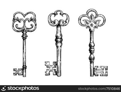 Isolated medieval forged keys with bows, decorated by victorian lily elements and ornate by flourishes. Sketch style objects. Isolated medieval victorian forged keys sketches